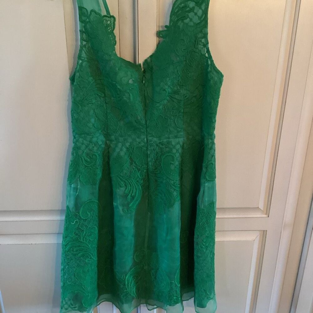 Yoana Baraschi Anthropologie 100% Silk Lace Overlay Sz 8 Emerald Green - Picture 5 of 10